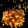 outdoor indoor dmx Controller Led String Lights Copper Light String